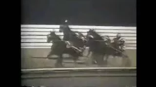 1988 Yonkers Raceway COUNT N SHEEP Sheppard Pace Final Bill Popfinger