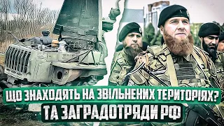 Що знайшли на звійльнених теріторіях