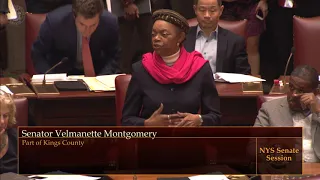 Senator Montgomery - S1077 - The Domestic Violence Survivors Justice Act