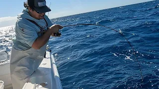 BIG FISH on MINI ROD (Catch, Clean, & Cook) Ceviche