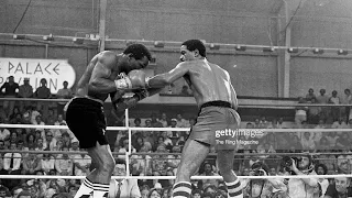 Knockout of the Year; 1981 : Wilfred Benitez KO12 Maurice Hope