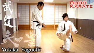 Budo Mae Geri Practice by Karate Legend Master Yutaka Yaguchi