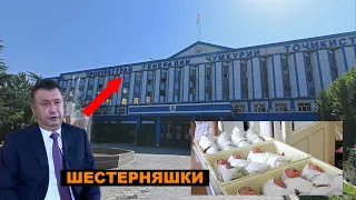 Жалоба Премьер-министру Таджикистана Кохиру Расулзода и Прокуратуру ? Шестерняшки в Таджикистане...