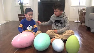 HUGE Easter Eggs Hunt with Troy and Izaak TBTFUNTV