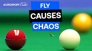 Mark Williams hilariously pots a FLY during his clash against Ali Carter 🪰🎱 | The Masters 2024