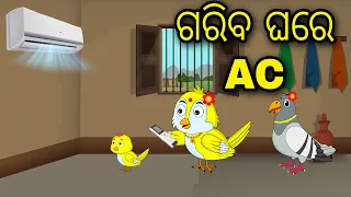 Gariba Ghare Ac | Odia Cartoon |Odia Bird Stories|Odia Chadhei Gapa| Odia Moral Story|Odia Gapa