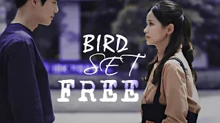 ‣Bird set free -