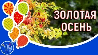 🌂Красавица осень золотая. 🍁Краски осени. 🎶Красивая музыка для души. Видео открытка.