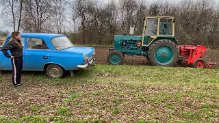 We sow barley, the SISTER helps, YuMZ-6 with the hinged seeder