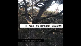 NINCS KOMPROMISSZUM!