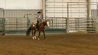 Ranch Riding AQHA Pattern 12