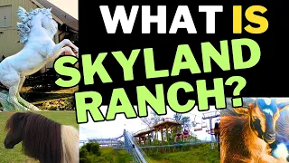 What's at the Top of Skyland Ranch? - Lookout is Now Open