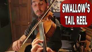 fiddle: swallow's tail reel