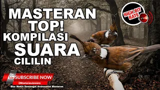 🔴 Suara ANCAMAN juri❗️Kompilasi Masteran Top Cililin Jeda 2 Menit