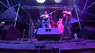 The Hillbilly Gypsies @ Groovin' with the Grove 4