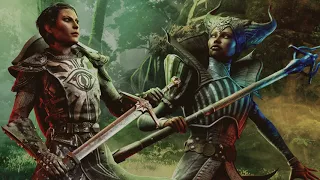 Cassandra & Inquisitor [Party Banter] | Dragon Age: Inquisition