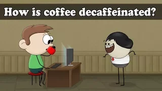 How is coffee decaffeinated? | #aumsum #kids #science #education #children