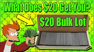 $20 Dollar Amazon 1000 Card MTG Lot - What Does $20 Get You?