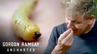 Gordon Eats Huhu Grubs | Gordon Ramsay: Uncharted