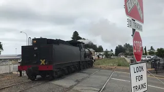 Steamranger Cockle Train: Rx 224 in the Summer