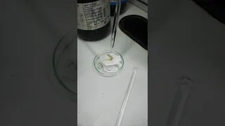 experiment!! sulphuric acid vs tissue paper