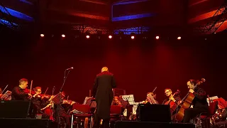 IP Orchestra - Звезда по имени Солнце (Кино)
