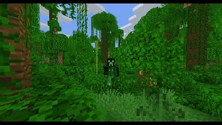 JUNGLE SHUFFLE-MINECRAFT TIMELAPSE