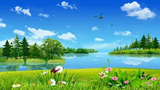 Background Animasi Pemandangan Alam  Danau dan Burung Terbaik | Animation No Copyright