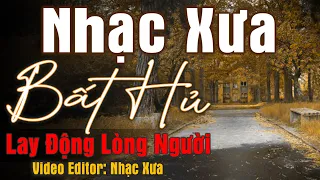 ĐẮM CHÌM TRONG CẢM XÚC Cùng Nhạc Xưa Hải Ngoại Lay Động Lòng Người | Dòng Nhạc Tình Ca Bất Hủ