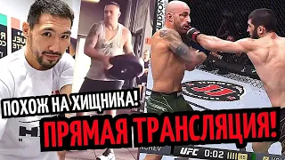 Алимханулы ХИЩНИК! Махачев vs Волкановски 2 ПРЯМОЙ ЭФИР! Усик Начал Подготовку