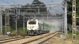 Trenes en Asturias. Renfe Mercancías, Cercanías, Alvia... Torpedos en el Ferrocarril de El Valle