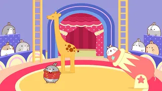 Molang - The Acrobats | Season 2 Episode 12 | Compilation For Kids