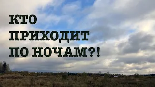 #134. Ночной гость. Фиаско с утеплением птичника. [Жизнь на своей земле]