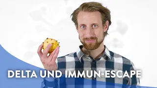 Corona-Faktencheck mit Martin Moder: Entkommt die Delta-Variante dem Immunschutz?