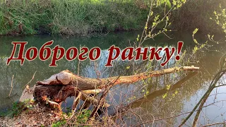 Бажаю Вам доброго ранку та мирного неба! Привітання з мирним небом та гарним днем