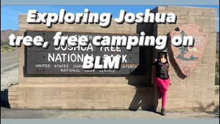 Exploring Joshua tree, and free camping on BLM land