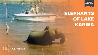Elephants of Lake Kariba | Mutual of Omaha's Wild Kingdom