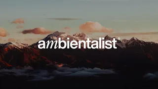 The Ambientalist - Everything