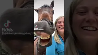 this a horse laughing