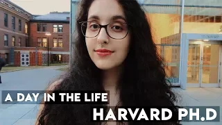 a day in the life of a harvard ph.d (first year)