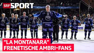 Gänsehaut pur! 😍🏒 Rückblick auf den Spengler Cup 2019