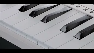 Tuna Mini 25 Midi Keyboard // Worlde