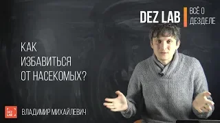 Как избавиться от насекомых? Не делай ничего пока не ознакомишься с этим видео!