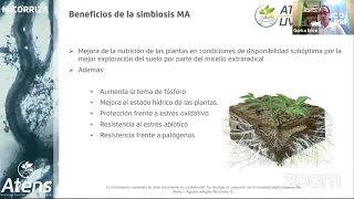 Fruit Attraction LiveConnect 2020 - Tratamiento de semillas con Micorriza, Trichoderma y Bacterias