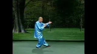 wushi_taijiquan_83_1.avi