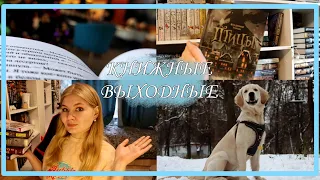 КНИЖНЫЕ ВЫХОДНЫЕ|| Читаю, покупаю, гуляю