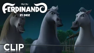 Ferdinando | Clip 'Cavalinhos' [HD] | 20th Century FOX Portugal