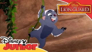 The Lion Guard | Playtime In The Pridelands | Disney Junior Arabia