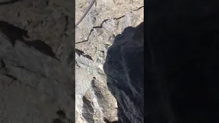 Grand Couloir (Mont Blanc) Rock Shower