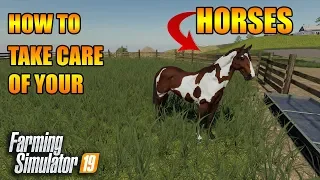 How To Take Care Of Your Horses & Train Them | How To FS19 | Tutorial | Farming Simulator 19